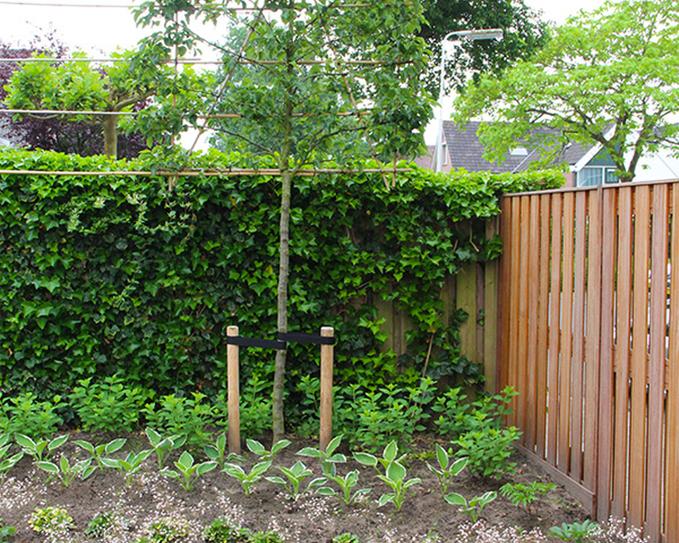 Aanleg tuin Ede